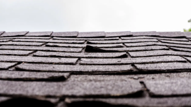 Biggest Threats to Roofs Huntsville Roofing Pros Deal with Every Season