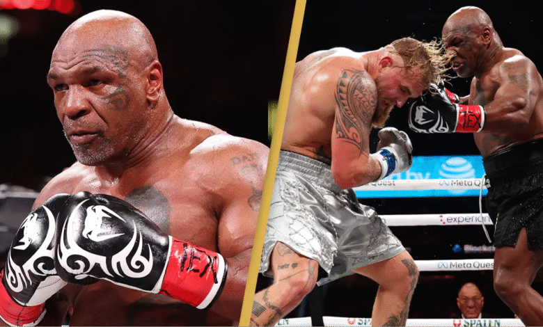 The Knockout Power of Boxing Hub: Where Legends Come Alive