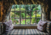 Window Film