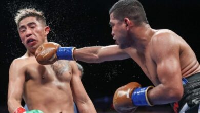 Legends in the Ring: How Hannibal Boxing Brings the Fight to Life
