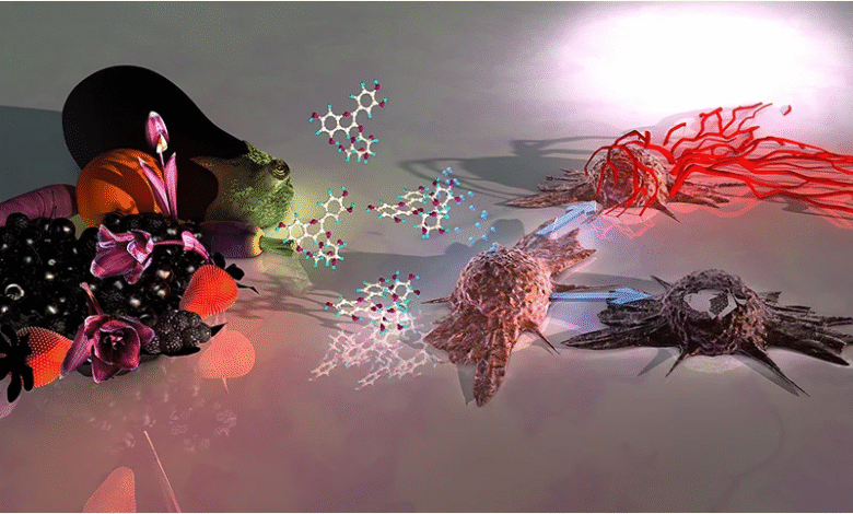 Visualizing the Unseen: The Impact of Science Medical Illustrations and Medical Animation