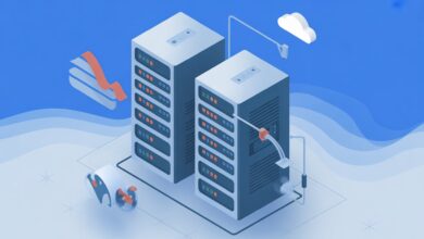 Cheap Netherlands Dedicated Server: Affordable Power and Performance in Europe