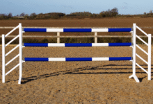 Horse Jump Cups 101: What They Are and Why They Matter