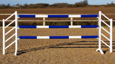 Horse Jump Cups 101: What They Are and Why They Matter
