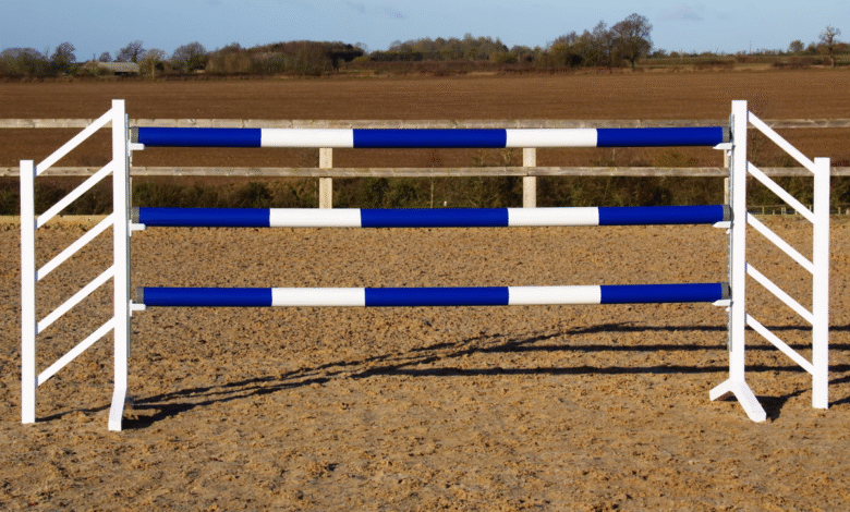 Horse Jump Cups 101: What They Are and Why They Matter