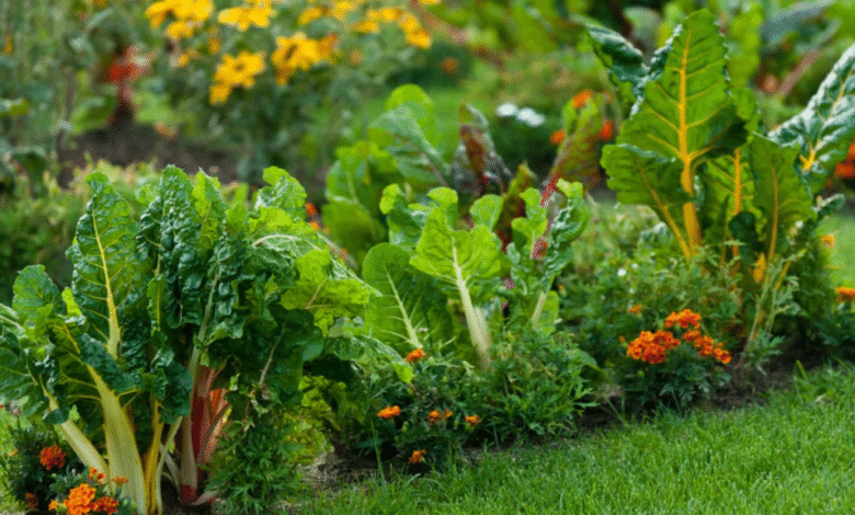 Steps To Keep Your Garden Thriving Year-Round