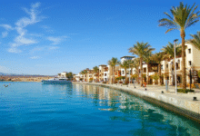 Marsa Alam Holidays – Dive into Egypt’s Red Sea Paradise