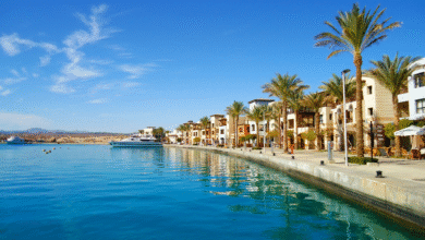 Marsa Alam Holidays – Dive into Egypt’s Red Sea Paradise