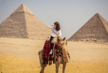 Exploring Egypt: A Traveler's Essential Companion