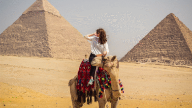 Exploring Egypt: A Traveler's Essential Companion